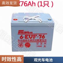 6-EVF-100 12V100AH48V60V72V͵ƿ߶