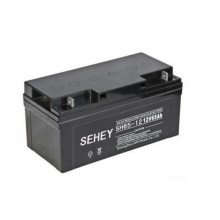 SH55-12 12V5***H Ǧά UPS/EPSԴ   