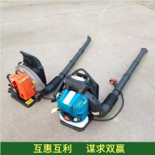 ﶬѩ ʽѩ ݶ·洵ѩֱ