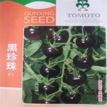 ӽf1ڷ 25ƷڷӺ