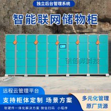 行李寄存柜联网存包柜景区扫码识别共享储物柜车站超市电子存包柜