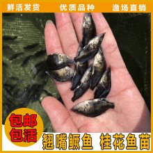 ӱżҿڹ۸糡