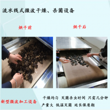 微波木耳杀菌设备 香菇灭菌机 全自动干燥更省心
