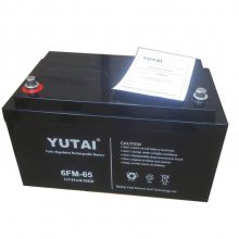 YUTAI6FM-200 ̩Ǧ12V200AH/20HRѹ