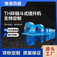 粒装小块状物料用环链斗式提升机源头工厂TH400型高温料条斗提机