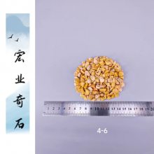 砾石花园铺地石材/广东黄色砾石规格/广州洗米石产地直批