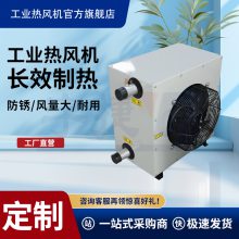 电加热式工业暖风机 陶瓷大棚养殖暖风机温室园艺花卉取暖器