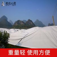 防寒布厂家 苗木越冬防风无纺布 柑橘防寒防虫无纺布 复合覆盖植被无纺布批发