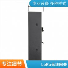 iGate2000LoRa ģɼߵ͵ƽɼ ߴϵͳ