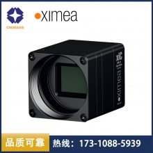 XIMEA߷ֱ***С͹ҵxiCϵMC245CG-SY/MC245MG-SY