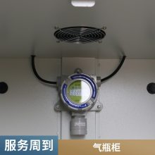 智能防爆气瓶柜 设计合理 稳定性好 用材真-做功细-成霖直做品质