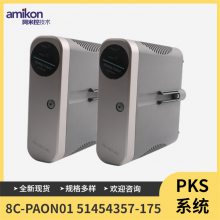 51454475-100 RAMģ ϵͳ