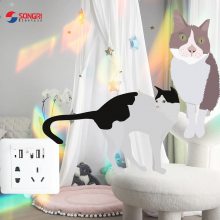 ״2λUSB ϺգSONGRI8610A5USBǽڲԱṫԢֻ