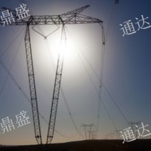 ³ľ220kV·Ӧ ½ͨﶦʢʩӦ