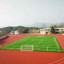 柳州学校塑胶跑道施工_运动场地足球场篮球场建设施工_柳州塑胶球场跑道翻新改造_体育工程材料_能冠体育