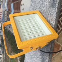 BZD118ά̼LED100W