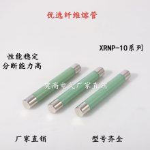 ѹ۶XRNP1-3.6-7.2-10-12KV/0.5A1A2A3.15A