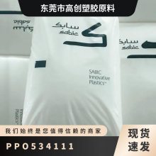 PPO A(ch)(chung)() 534-111 ͜ ߏ ߄ Vˮ