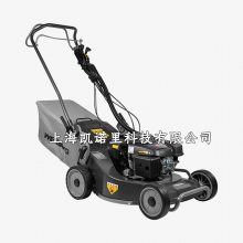 άWB537SCV-SDƺݻ 21߸ֵ̲ƺ󼯲
