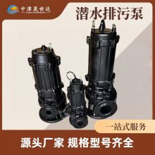 大流量潛水排污泵 工業(yè)廢水輸送 潛水泵鑄鐵材質(zhì) 晟世達(dá)泵業(yè)