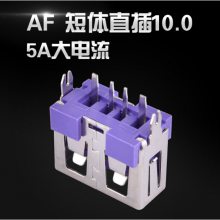 短体10.0直插型USB母座 5A大电流 紫色胶芯 快充充电头接口