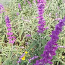 �����ر����ܻ���_�Ϸ��ر����ܹ�����