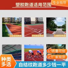 源头工厂 透气型塑胶跑道混合型/自结纹/全塑型跑道 更省钱