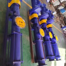 污水处理厂用螺杆泵 FG35-2 3KW 不锈钢材质 云南众度泵业