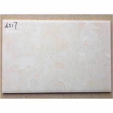 ʴ̨ש ѹīǽש45*30cmƬ