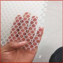 塑料网脆 养蚕塑料网 育雏网垫现货厂家