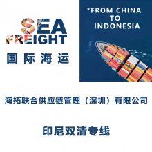 国际海运广州到印尼雅加达 集运专线双清包税到门Jakarta专线货代