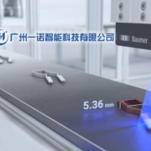 Baumer΢ʹСʹСߴ΢͹紫