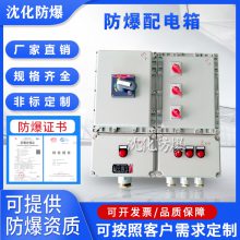 防爆配电控制柜 成套配电箱工厂 低压电控照明动力配电柜定做