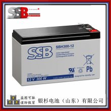 ԭװ ¹SSBSB5-12L ͨ豸12V-5.0AhǦ