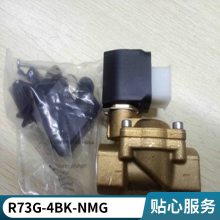 ŵ NORGREN豸ExcelonģʽѹR73G2GTRSG