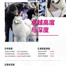 2024 MRE FAIR PET SHOW ASIA ȳкվ׶չ