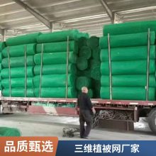 咸宁世杰EM4 EM3三维植被网 护坡固土网垫 抗冲刷 加筋防护
