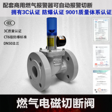 工业商用饭店厨房燃气电磁式紧急切断阀天然气管道电磁阀DN25 50