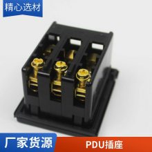 ʩ͵ APC Switched Rack PDU ʽ絥Ԫ AP8958Դ