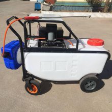 产品上市150L自动卷管打药机 电动推车式喷雾器 草坪蔬菜农药除虫机