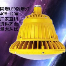 BLD97防爆免维护LED泛光灯 喷砂房隔爆型防眩灯50w100w