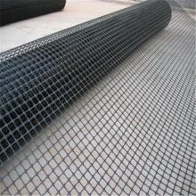 土工格栅 养殖塑料网 大棚温室用托水格栅网 围栏