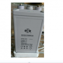 ˫ ܱʽǦ GFM-300 (C10)