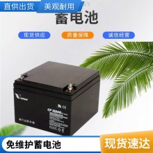 Vision늳 CP1233 12V2.3AH yʽܷUSo(h)늳