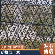 ѧУ���������� �����ܺϽ�Χǽ����Χ��п�ֻ�����