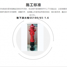 ˨SS100-65-1.6 ԰·ֹ豸