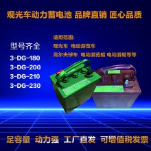 火炬蓄电池3-DG-230观光车电瓶6V230Ah