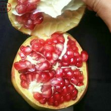 ʯʯ糧