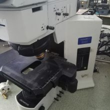 OLYMPUS奥林巴斯金相显微镜BX51
