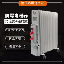 BDN58-2500W13Ƭ͡2.5KW13Ƭ͡BDR-2000